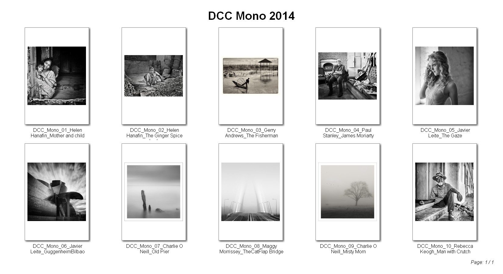 D - Dublin Camera Club - Mono