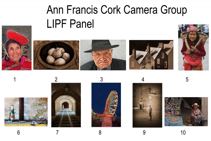 Ann-FrancisLIPF-Panel