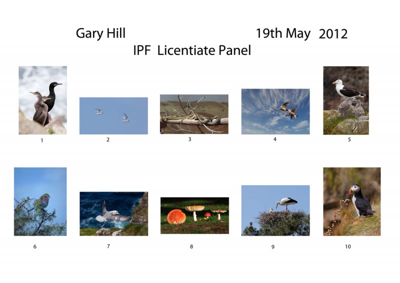 Gary-Hill-IPF-L_-Panel