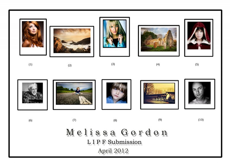 Melissa_Gordon_Panel-LIPF-2012small