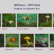 Bill Power FIPF, Mallow Camera Club