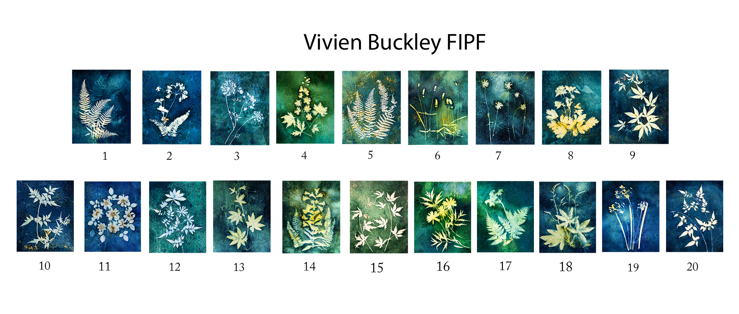 Vivien Buckley, FIPF, Mallow Camera Club