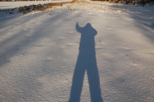 me-shadow