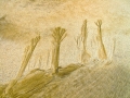 Colour Print - HM - Roger Nicholson - Sand Sculptures - Mullingar Camera Club