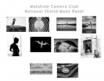 10. MCC National Shield Mono Thumbnails
