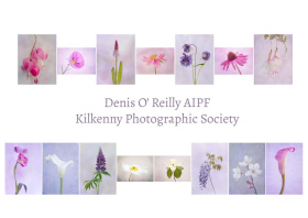 Denis O'Reilly, AIPF, Kilkenny Photographic Society