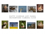 Patty Connor, LIPF, Waterford Camera Club