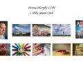 Denise Murphy LIPF, Cobh Camera Club.jpg