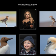 L01-Michael-Hogan