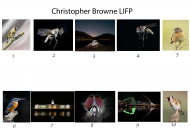 Christopher Browne, LIPF,  St Brigids