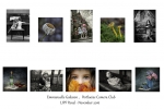 Emmanuelle Galisson LIPF, Portlaoise Camera Club