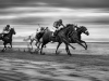 Highly Commended - Declan Gernon - Dundalk Photographic Society - Laytown Races