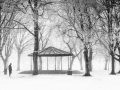Advanced Gold - Tony Mc Donnell - Dundalk Photographic Society - A Winter Stroll in the Park