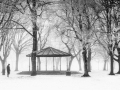 Tony Mc Donnell - Dundalk Photographic Society - A Winter Stroll in the Park - North East