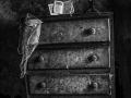 Monica Ralph - Chest of Drawers - An Tain Photography Group - Monochrome Print Open - Intermediate Gold.jpg