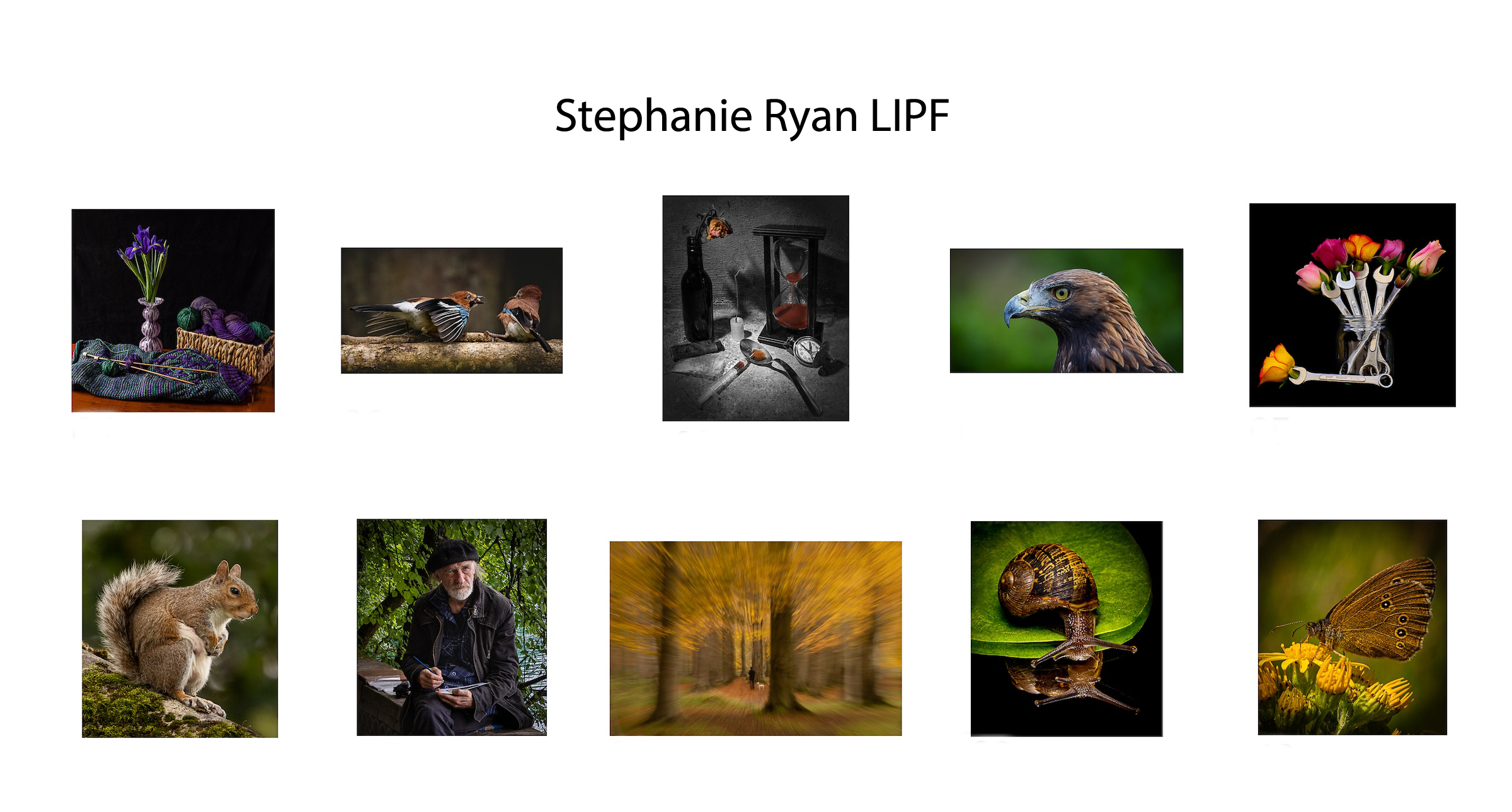 Stephanie-Ryan