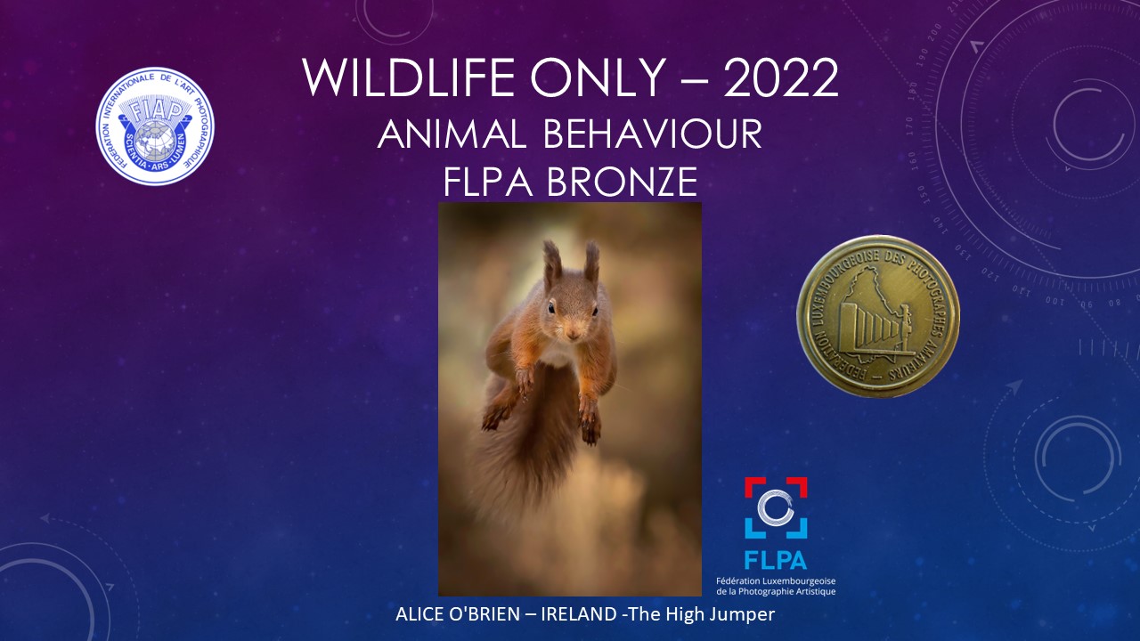220527 Wildlife only presentation - Alice O'Brien