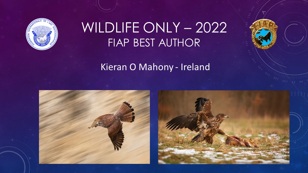 220527 Wildlife only presentation - Kieran O'Mahony - 1