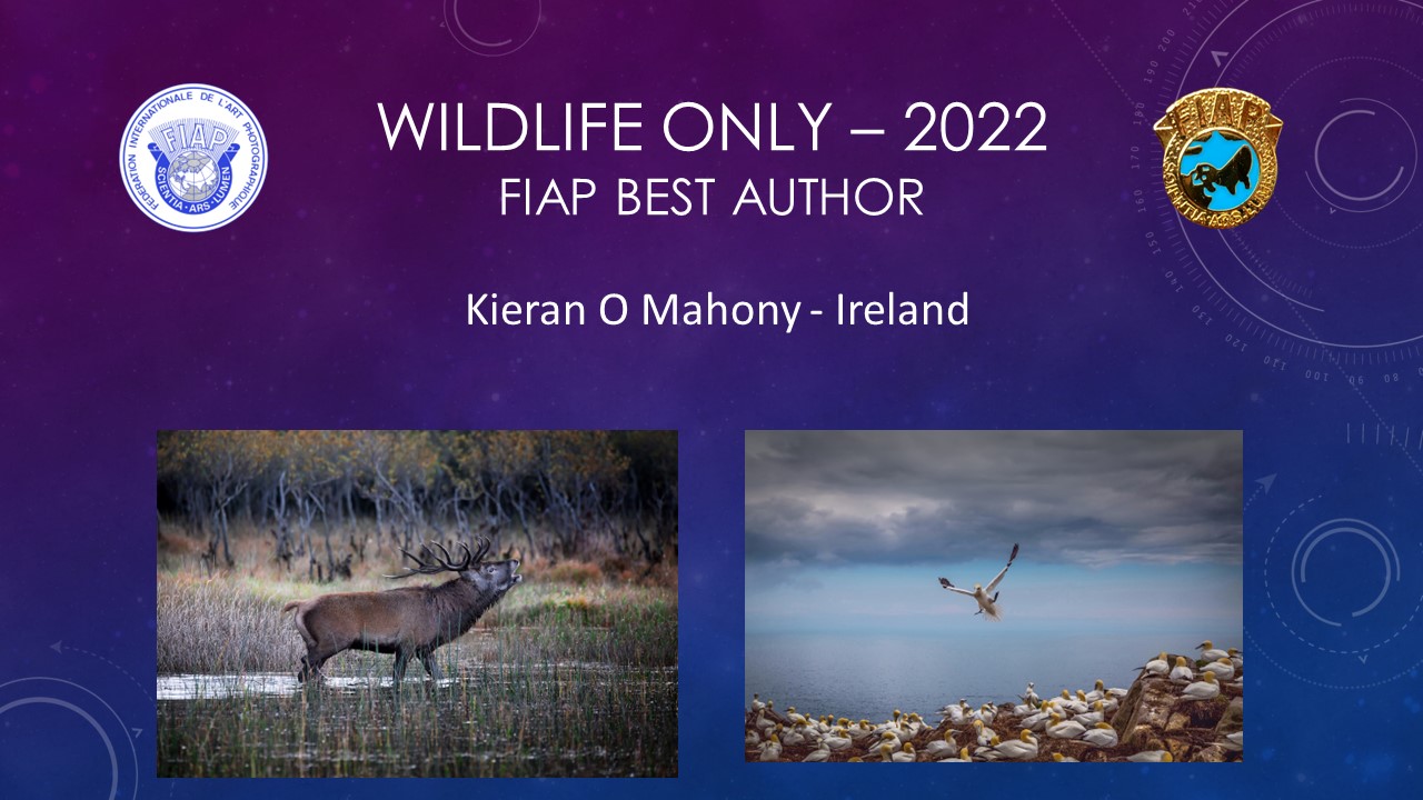 220527 Wildlife only presentation - Kieran O'Mahony - 3
