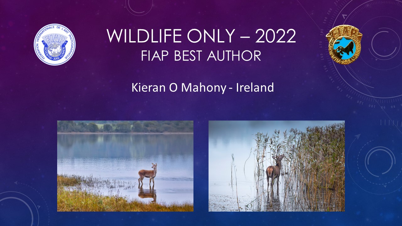 220527 Wildlife only presentation - Kieran O'Mahony - 4