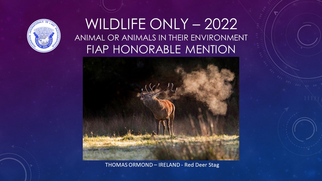 220527 Wildlife only presentation - Tom Ormond