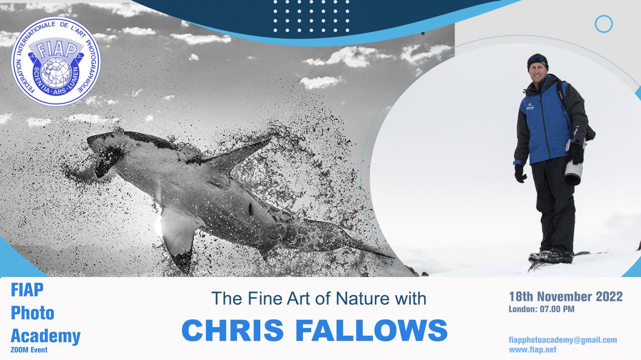 Chris Fallows - P0ster