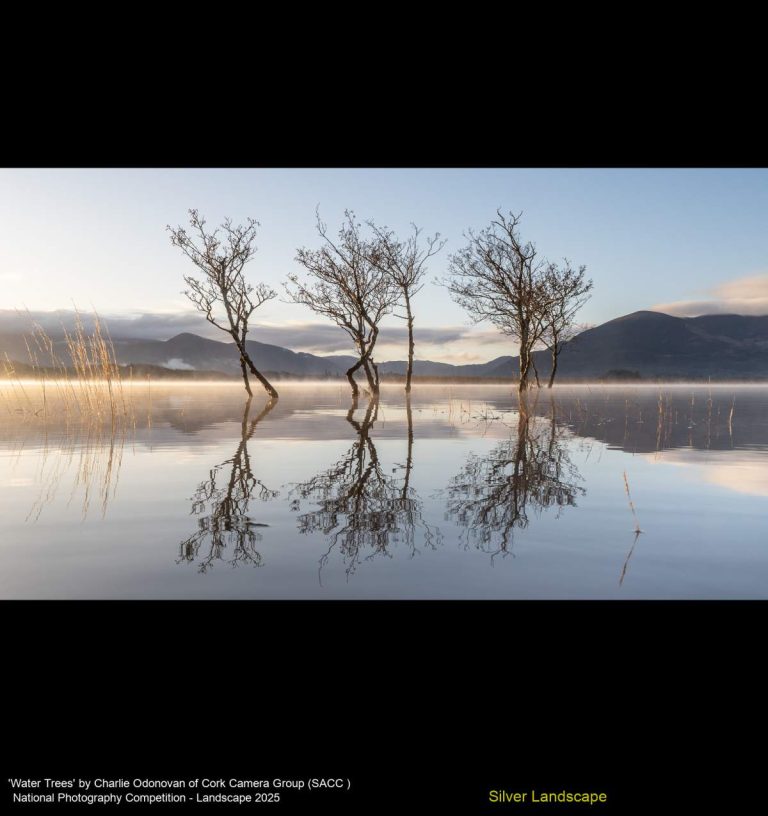 'Water Trees' by Charlie Odonovan of Cork Camera Group (SACC )