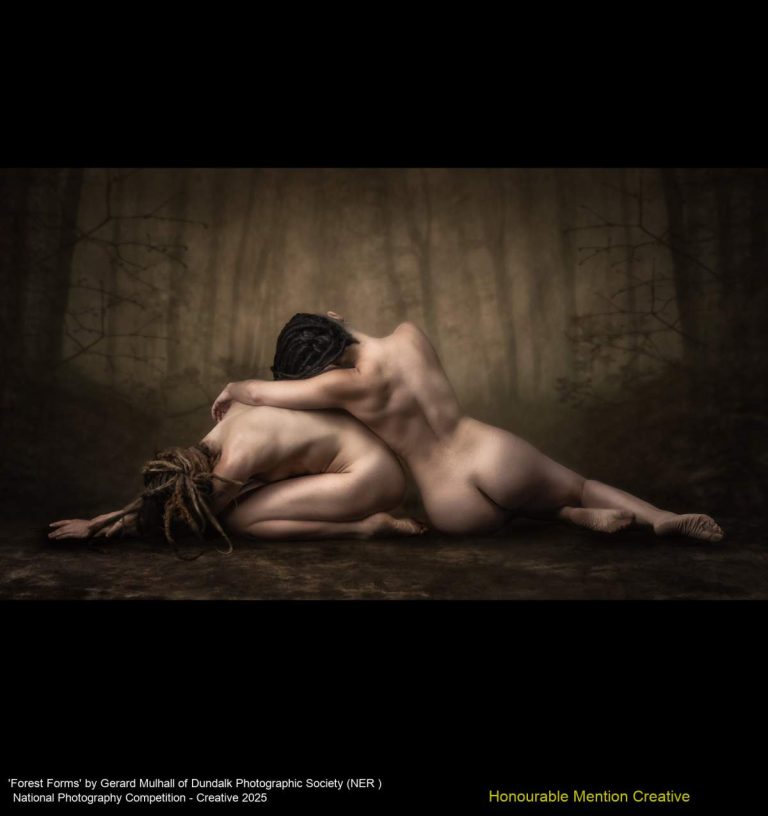 'Forest Forms' by Gerard Mulhall of Dundalk Photographic Society (NER )