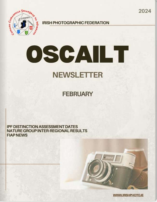 feb_24-newsletter
