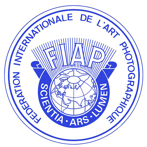 fiap_logo