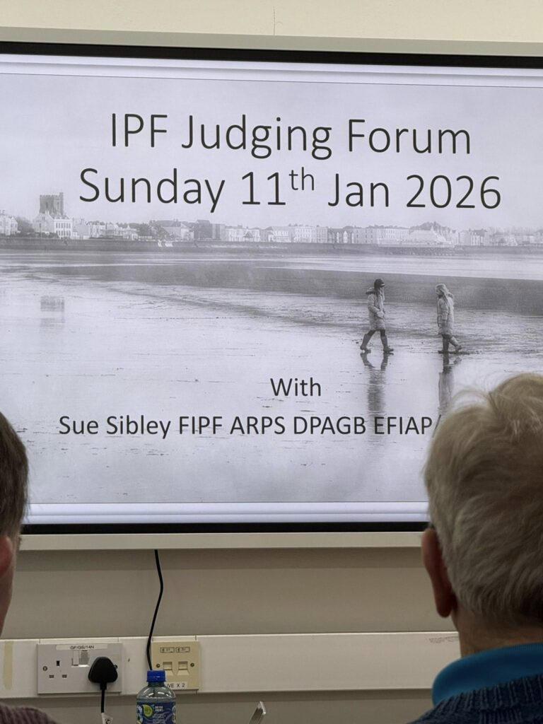 Judging workshop